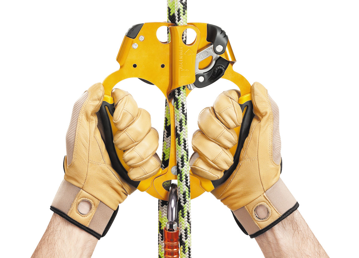 PETZL ASCENTREE ASCENDER