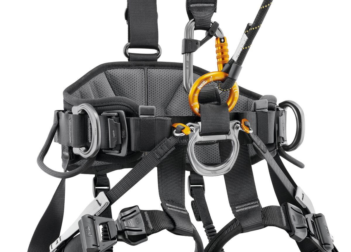 PETZL COMPLETE Harness AVAO® FAST (international version)